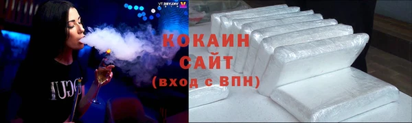 индика Лихославль
