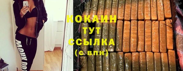 индика Лихославль