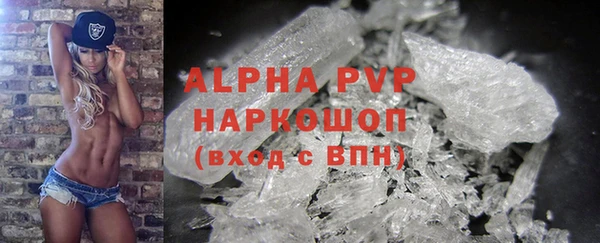 индика Лихославль